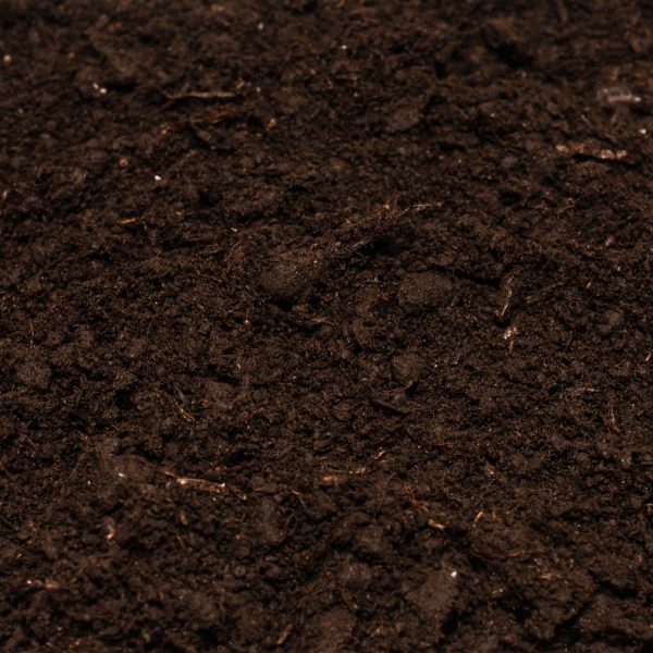 close up of top soil.