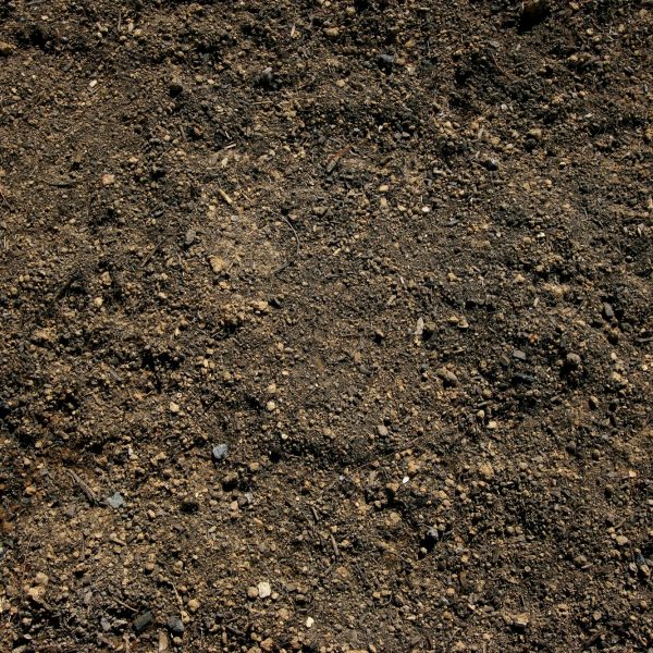 close up of screened soil.